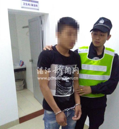 湛江最新司机招聘启事，探索自然美景，寻求内心宁静之旅
