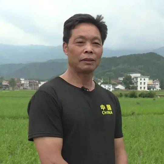 最新湿之娃制作指南，步骤详解