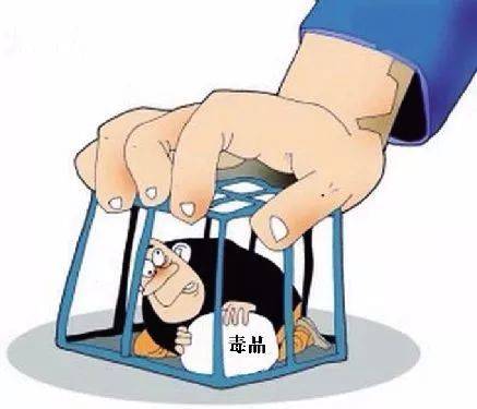 包头吸毒案件深度分析与观点阐述，最新案例揭秘