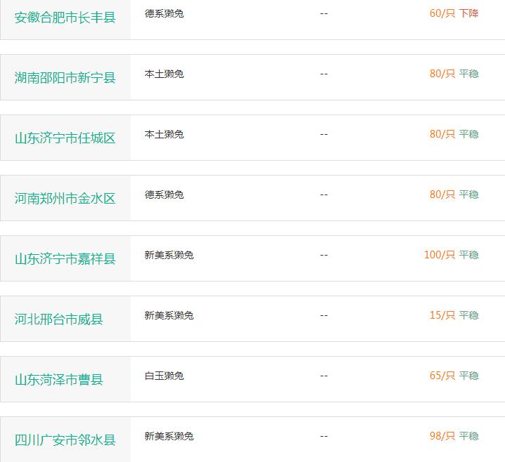 临沂獭兔最新价格揭秘，最新行情大揭秘！