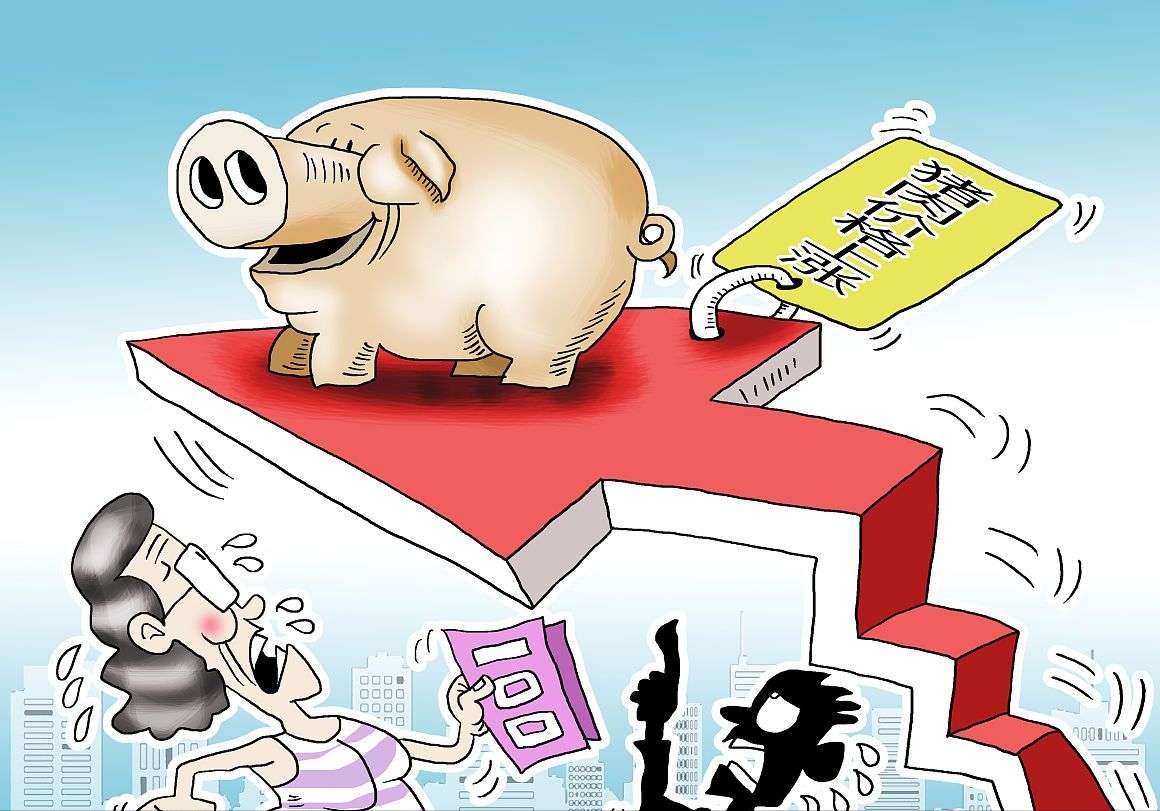 新乡最新猪价变化，把握机遇，共创未来之路