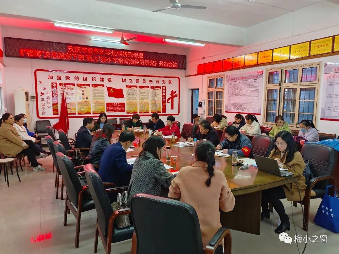 安庆最新大规模建设详解，一步步指南