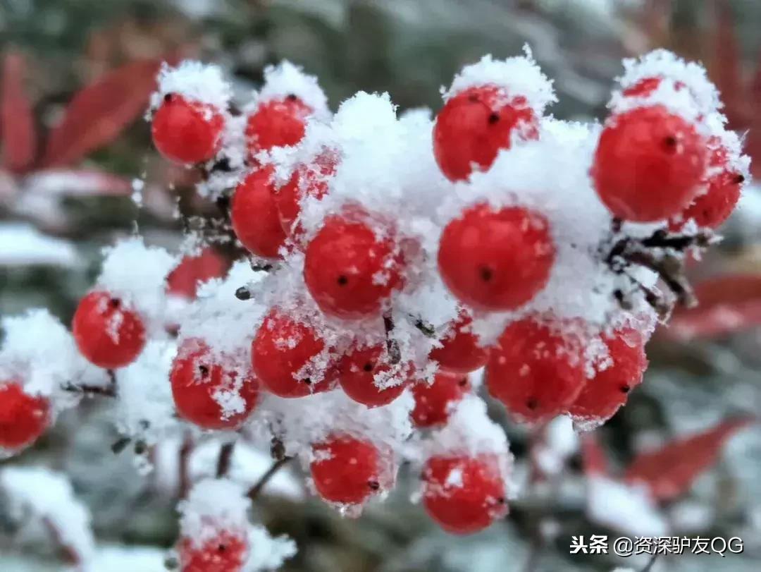 凤凰小说最新入库，与自然美景的邂逅，心灵之旅启程