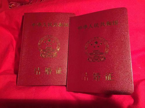 时代背景下的最新结婚证词，婚姻见证新篇章