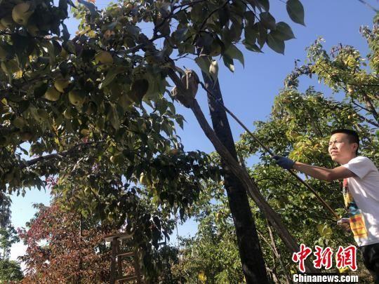 西和房价最新动态，智慧投资，财富大门开启之路