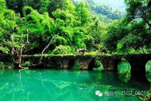 用应宝最新，启程自然美景之旅，探寻内心平和之地