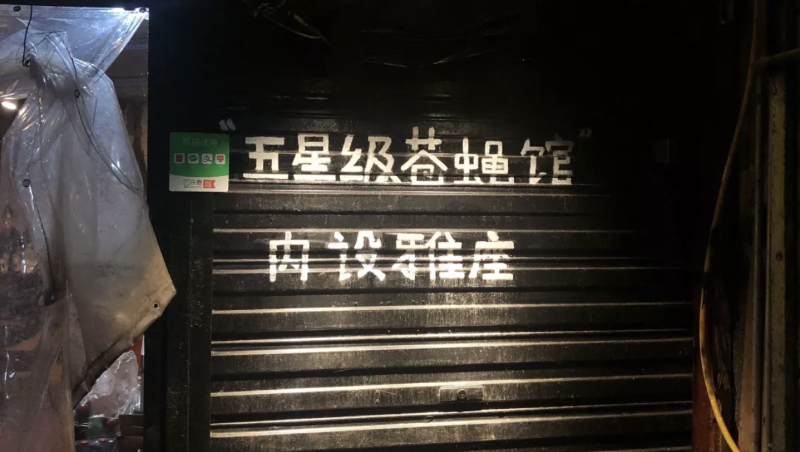 探索小巷深处的独特魅力，揭秘2017最新伦理影音特色小店