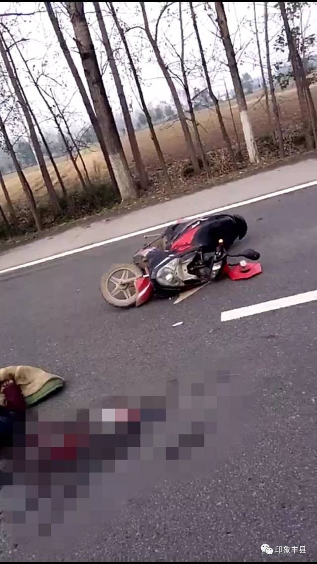 魏县最新车祸事件，悲剧引发的反思与启示