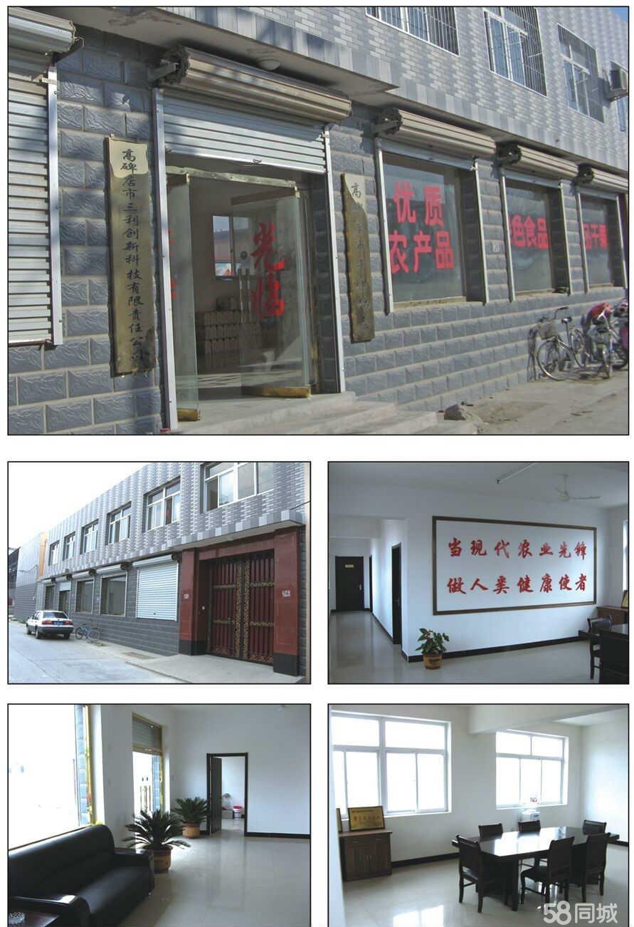 河北高碑店最新动态，发展与创新中的城市新面貌