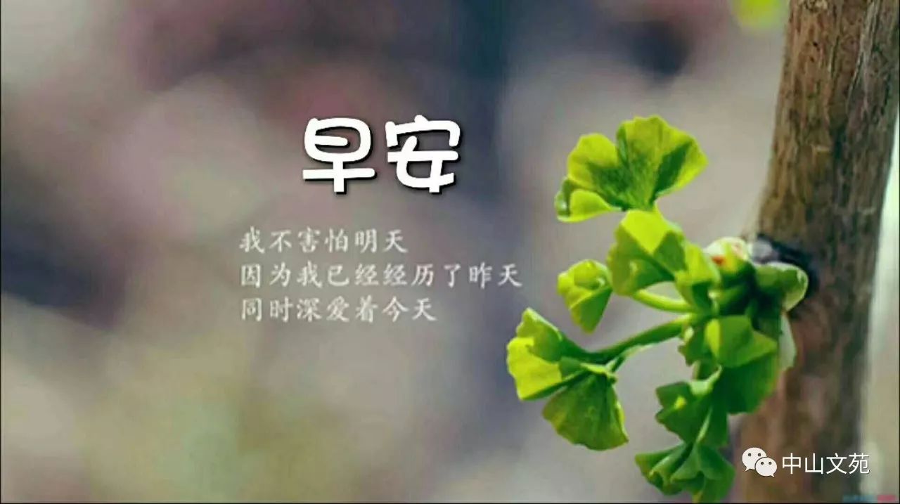 励志语录2017，温馨日常，激励前行