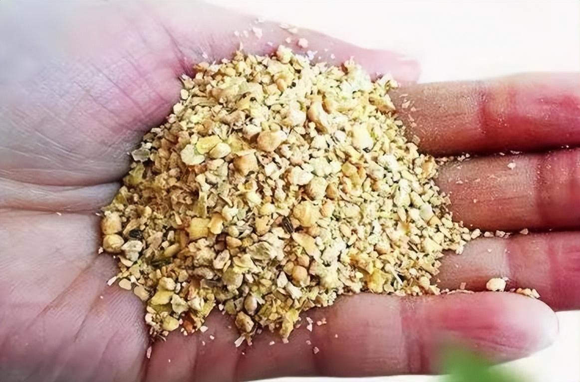 🌟豆柏最新价格揭秘🌟