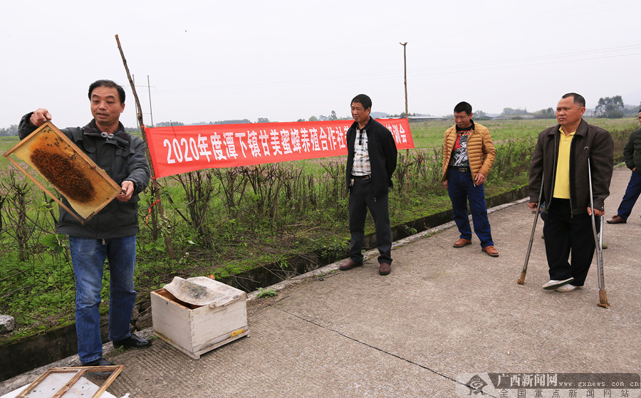 灵川最新新闻及观点论述速递