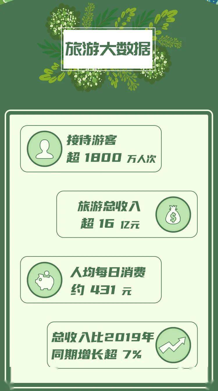 口腔最新材料的神奇探索之旅