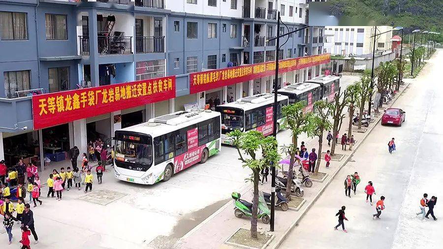 乐业最新新闻，小城温馨日常与家的温暖故事报道速递