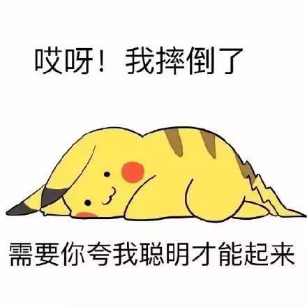 体育 第4页