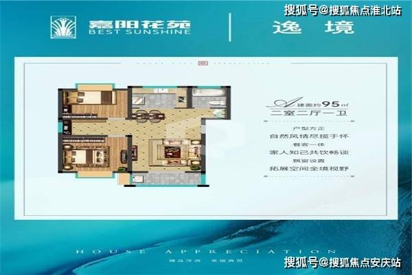 广东最新鸭价概览