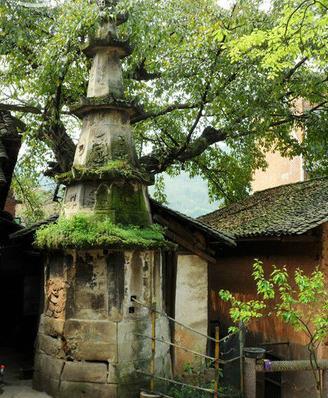 泸州高新区，自然美景之旅，探索心灵宁静的新胜地