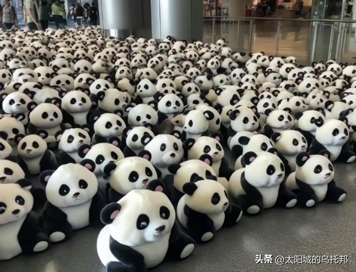 丫丫回国最新动态，自然美景探索之旅启程